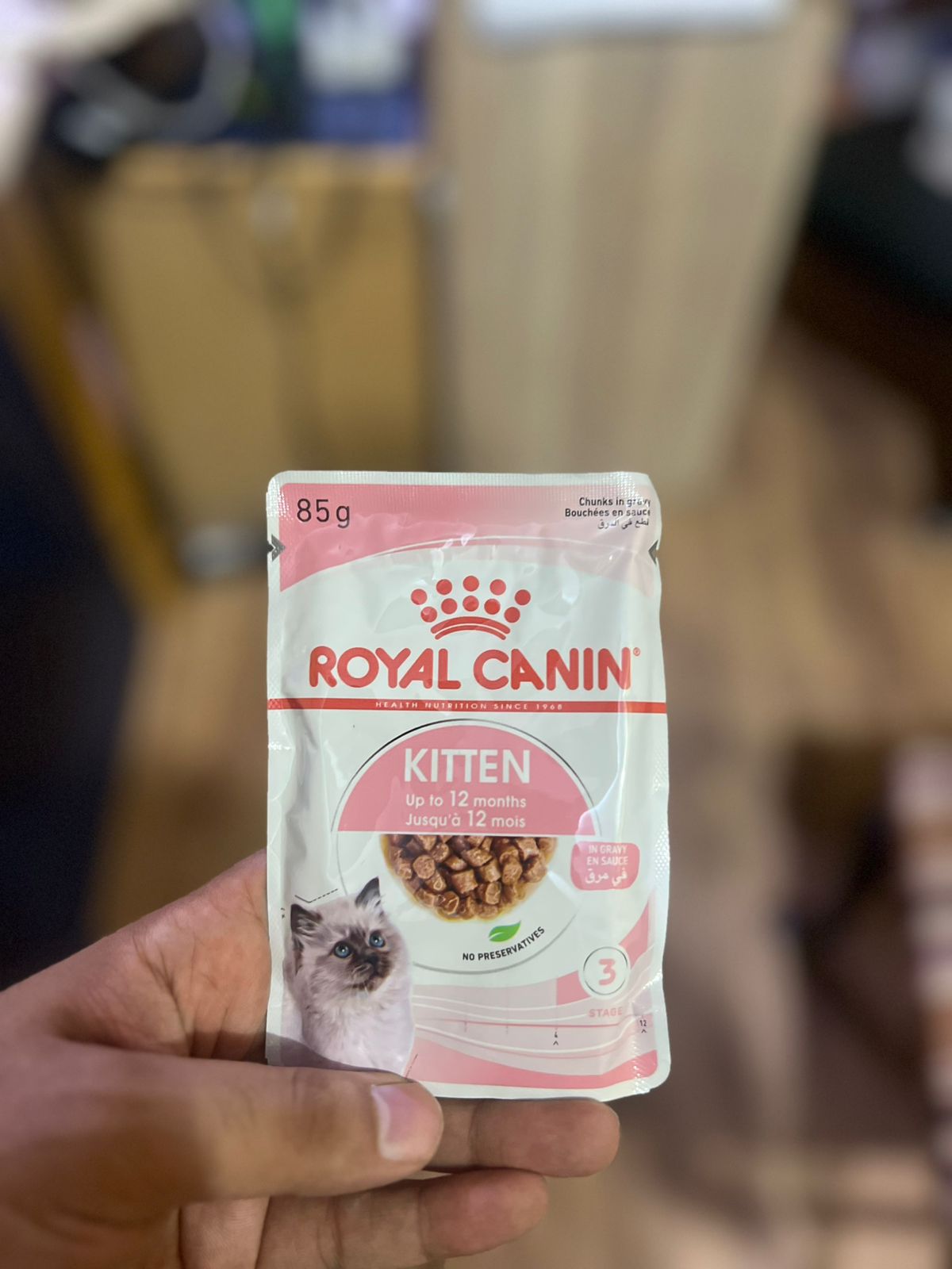 Royal canin kitten jelly