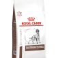 Royal Canin Gastrointestinal Dog Food