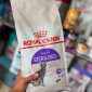 Royal canin adult Sterilised cat food