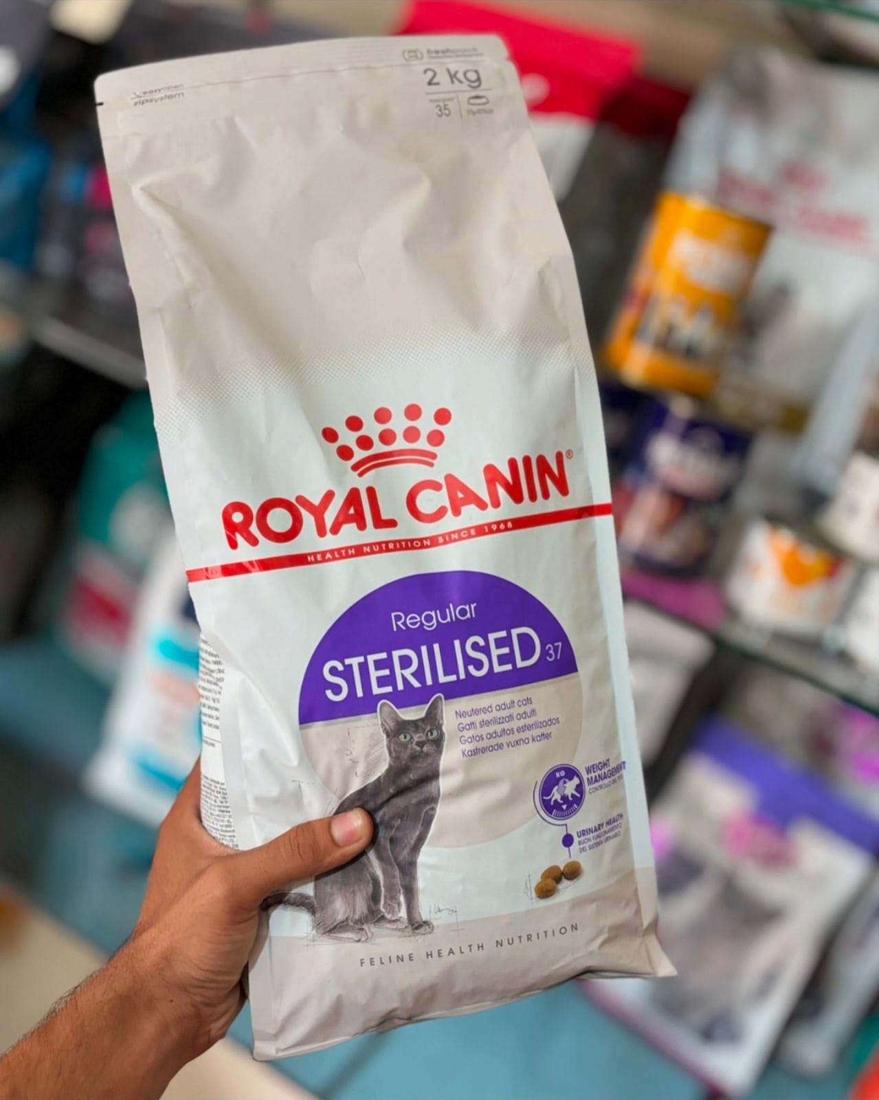 Royal canin adult Sterilised cat food